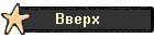 Вверх
